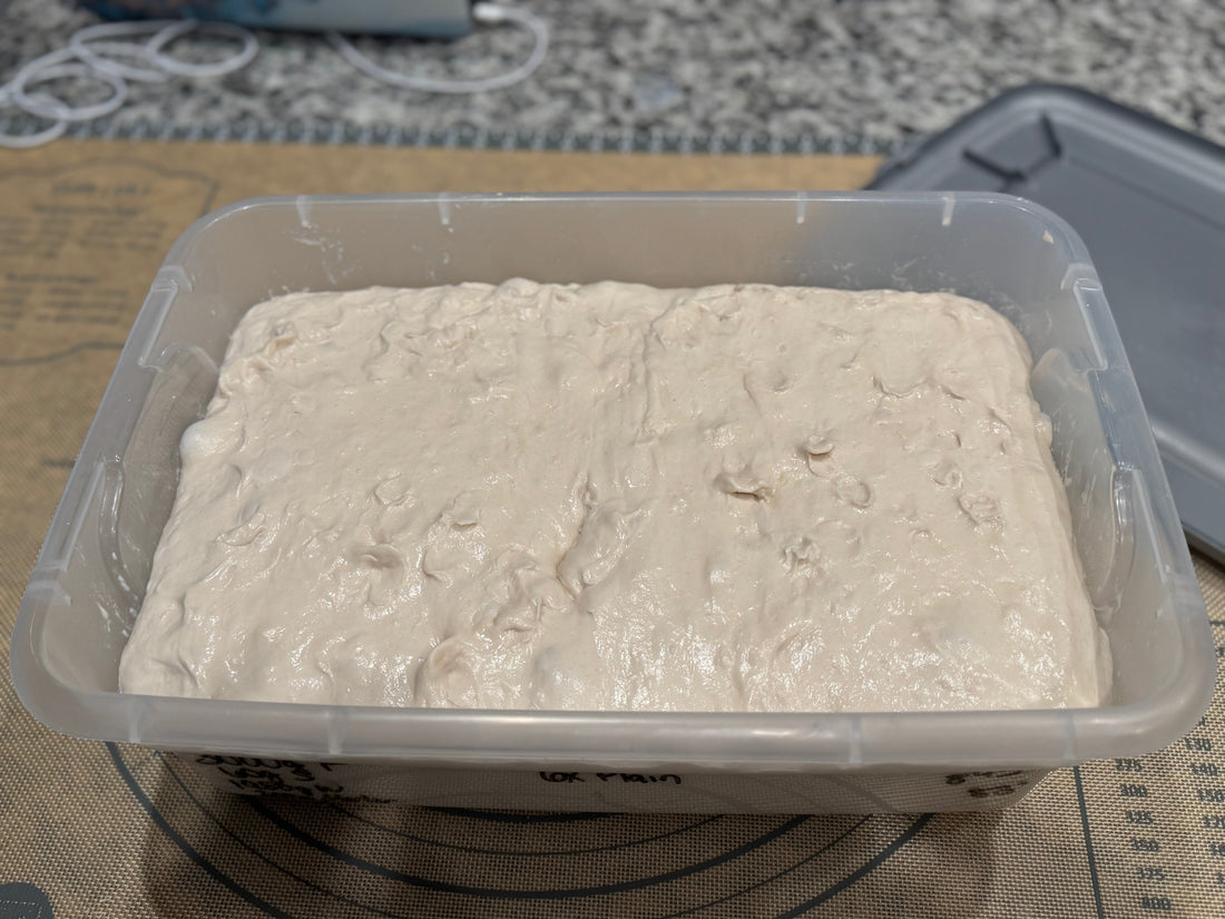 Understanding Sourdough Timing (It's Not What You Think)