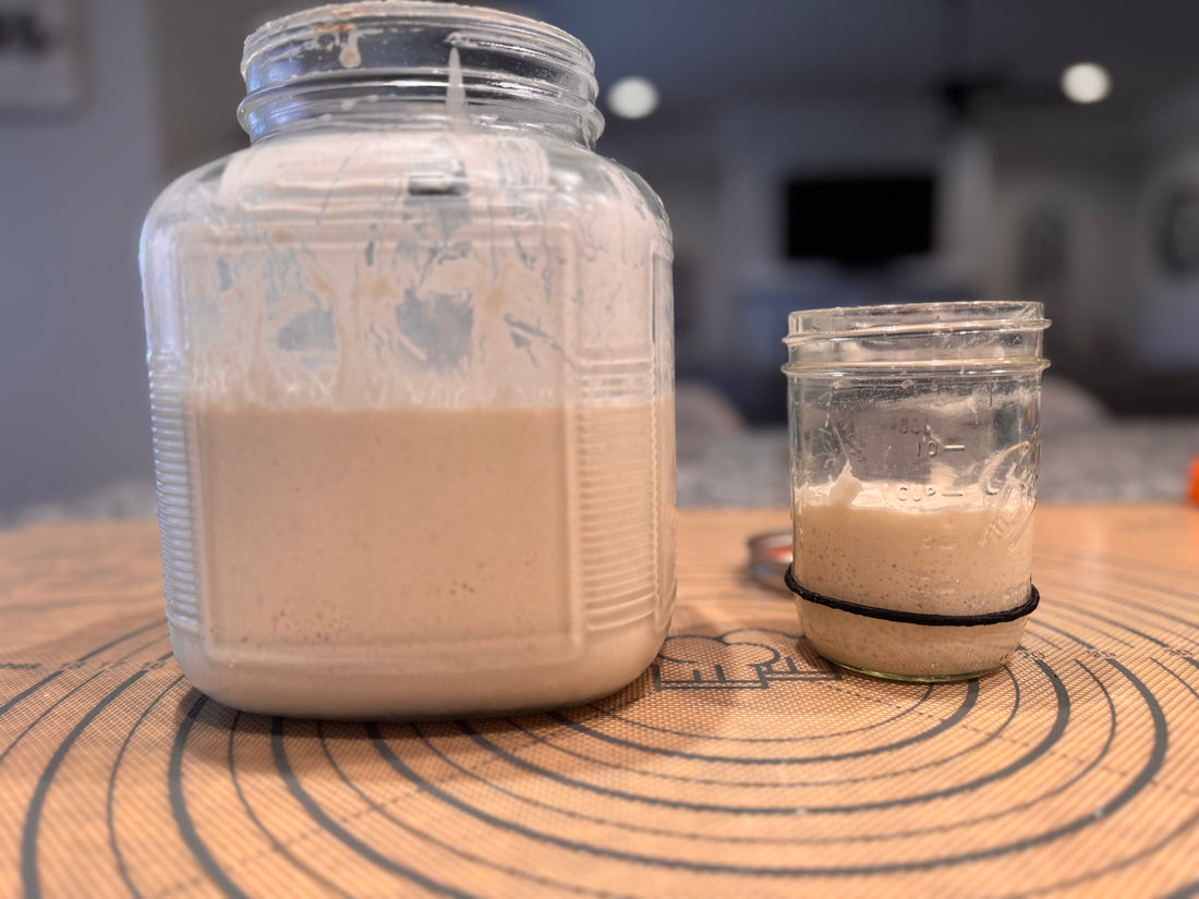 Sourdough Discard: Don't Throw It Away