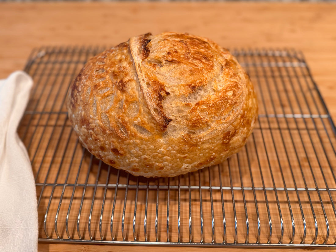 My First Sourdough Loaf: Why I Spent Months Reading Before Baking